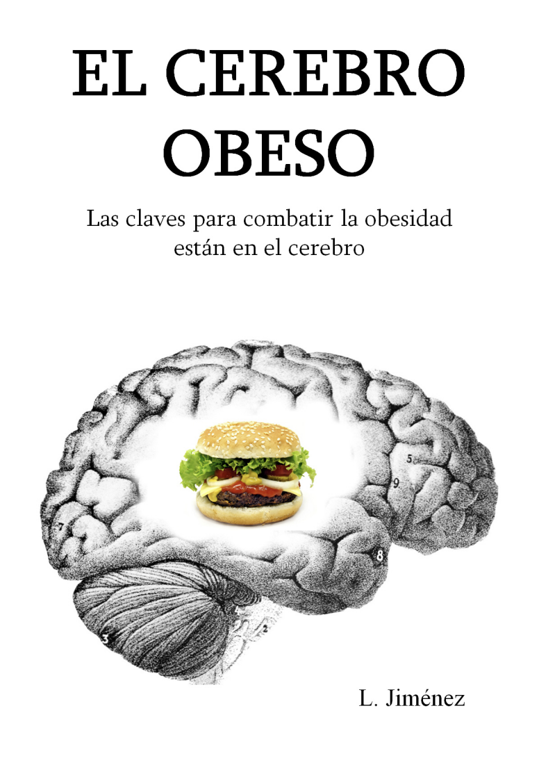 El cerebro obeso: Las claves para combatir la obesidad están en el cerebro