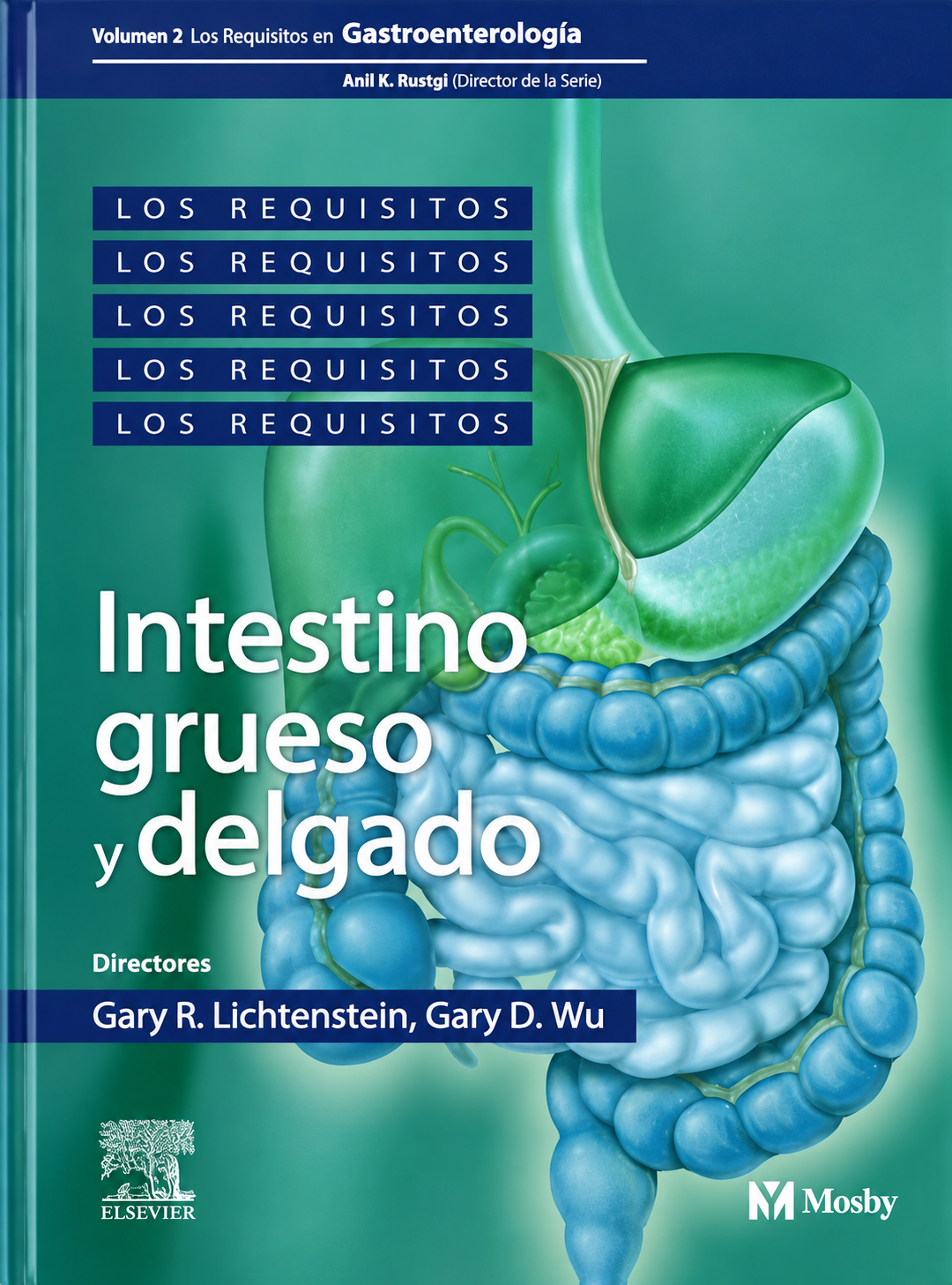 Intestino Grueso y Delgado